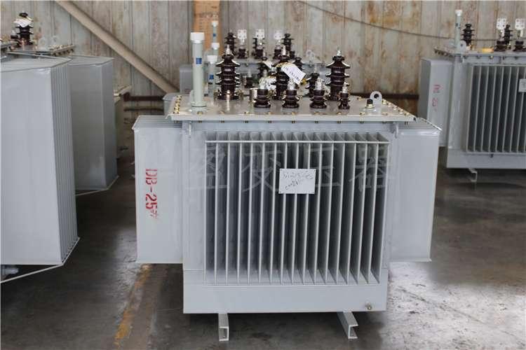 辽阳S20-800kVA/10kV/0.4kV变压器